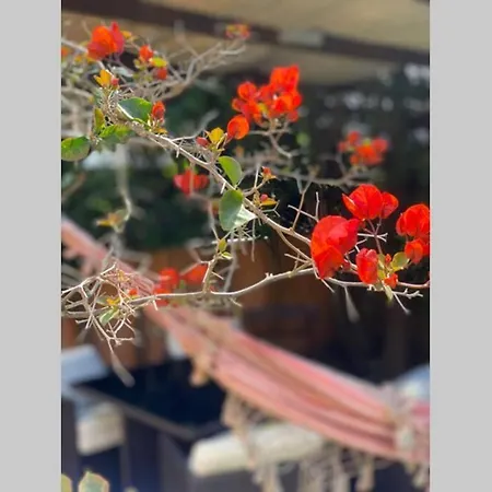 Guincho Villa
